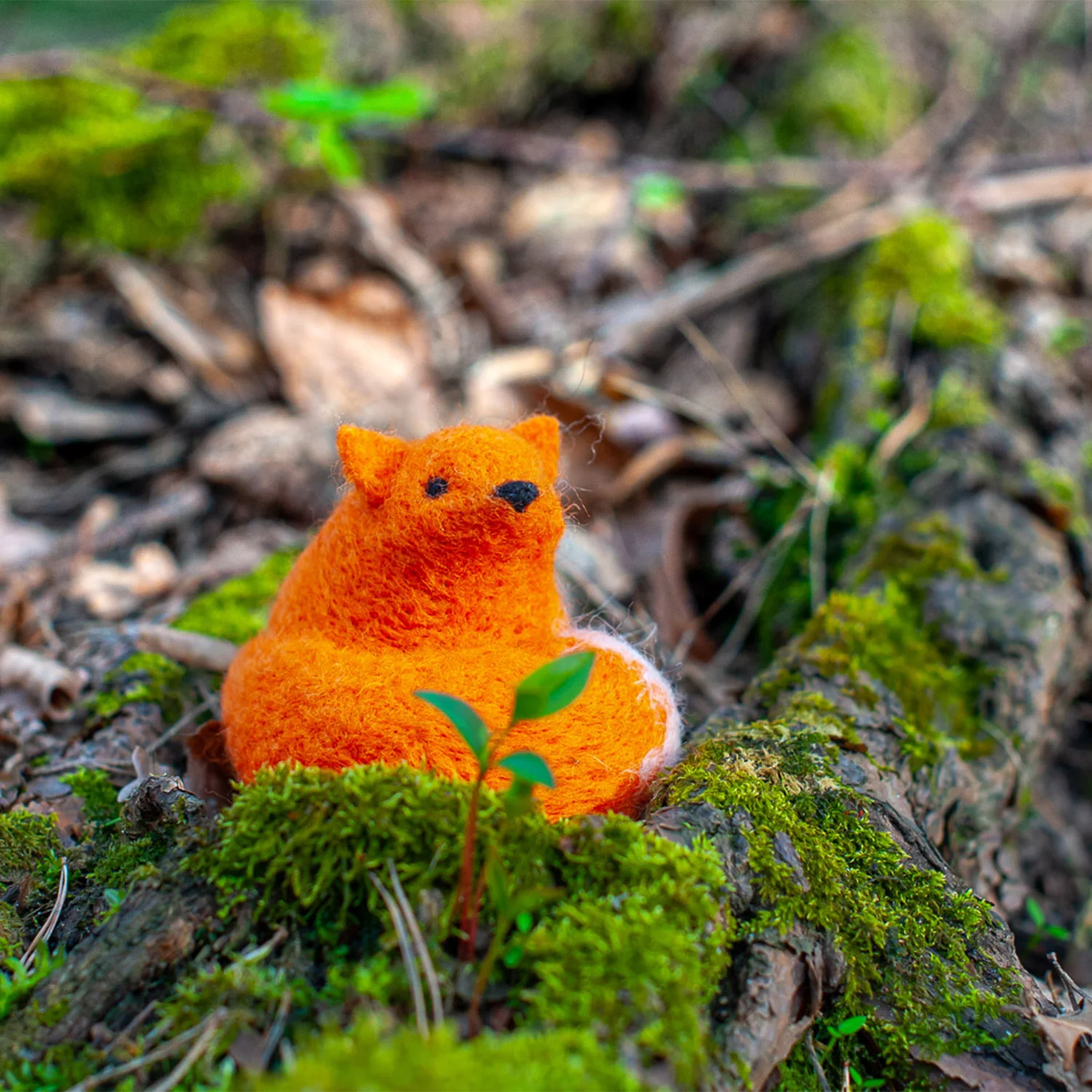 Felting Kit - Fox - Image 3