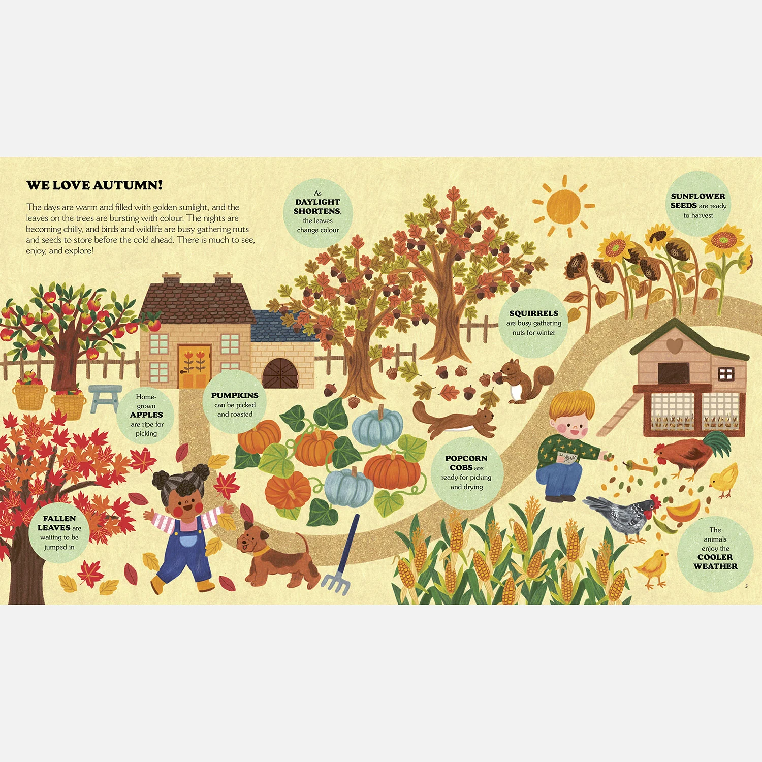 Angela Ferraro-Fanning - Little Country Cottage: An Autumn Treasury of Recipes, Crafts and Wisdom - Image 3