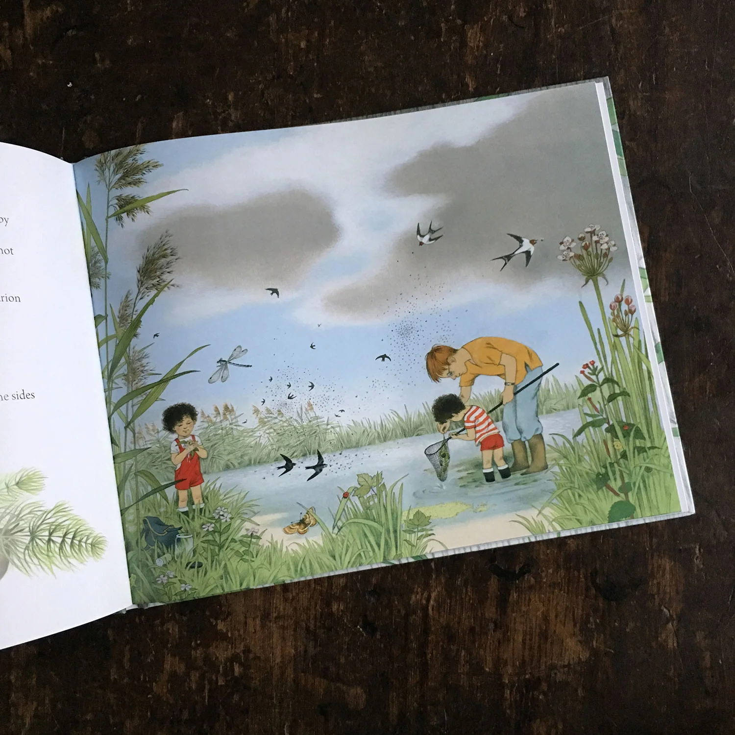 Gerda Muller - Where Do They Go When It Rains? - Image 3