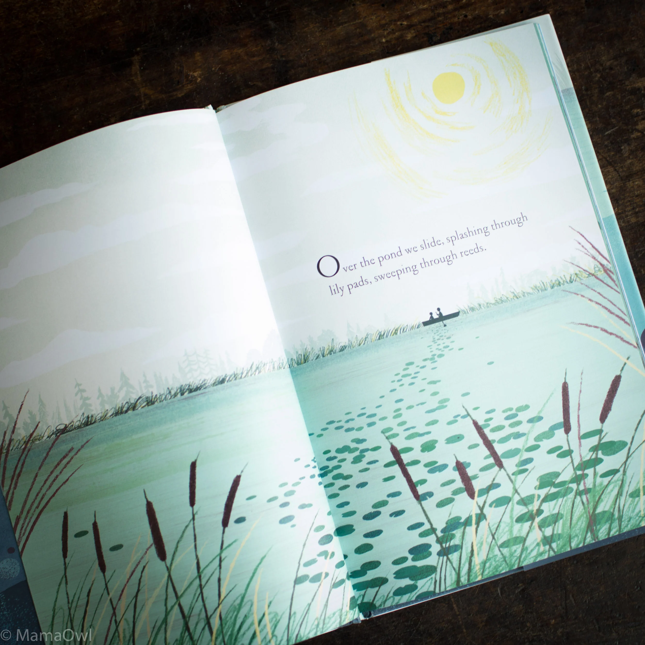 Kate Messner - Over And Under The Pond - Image 3