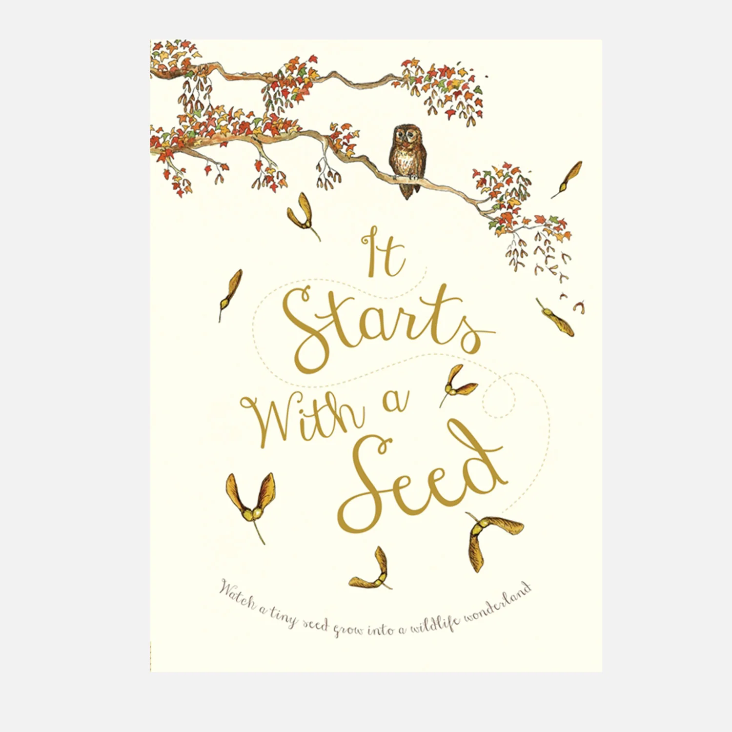 Laura Knowles - It Starts With A Seed - Image 5