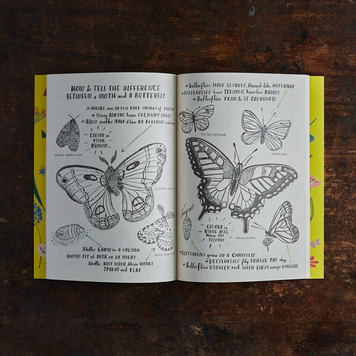 Nina Chakrabarti - Hello Nature Activity Book - Image 2