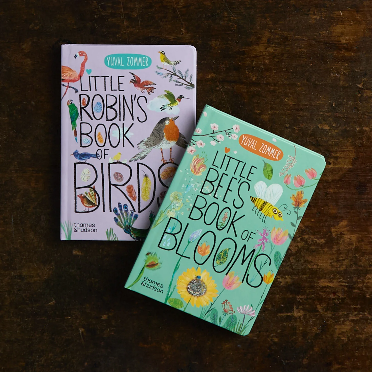 Yuval Zommer - Little Bee's Book of Blooms - Image 3