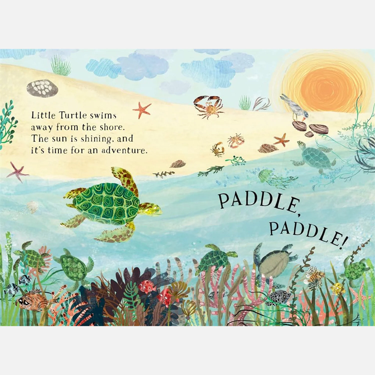Yuval Zommer - Little Snail's Book of Bugs - Image 7