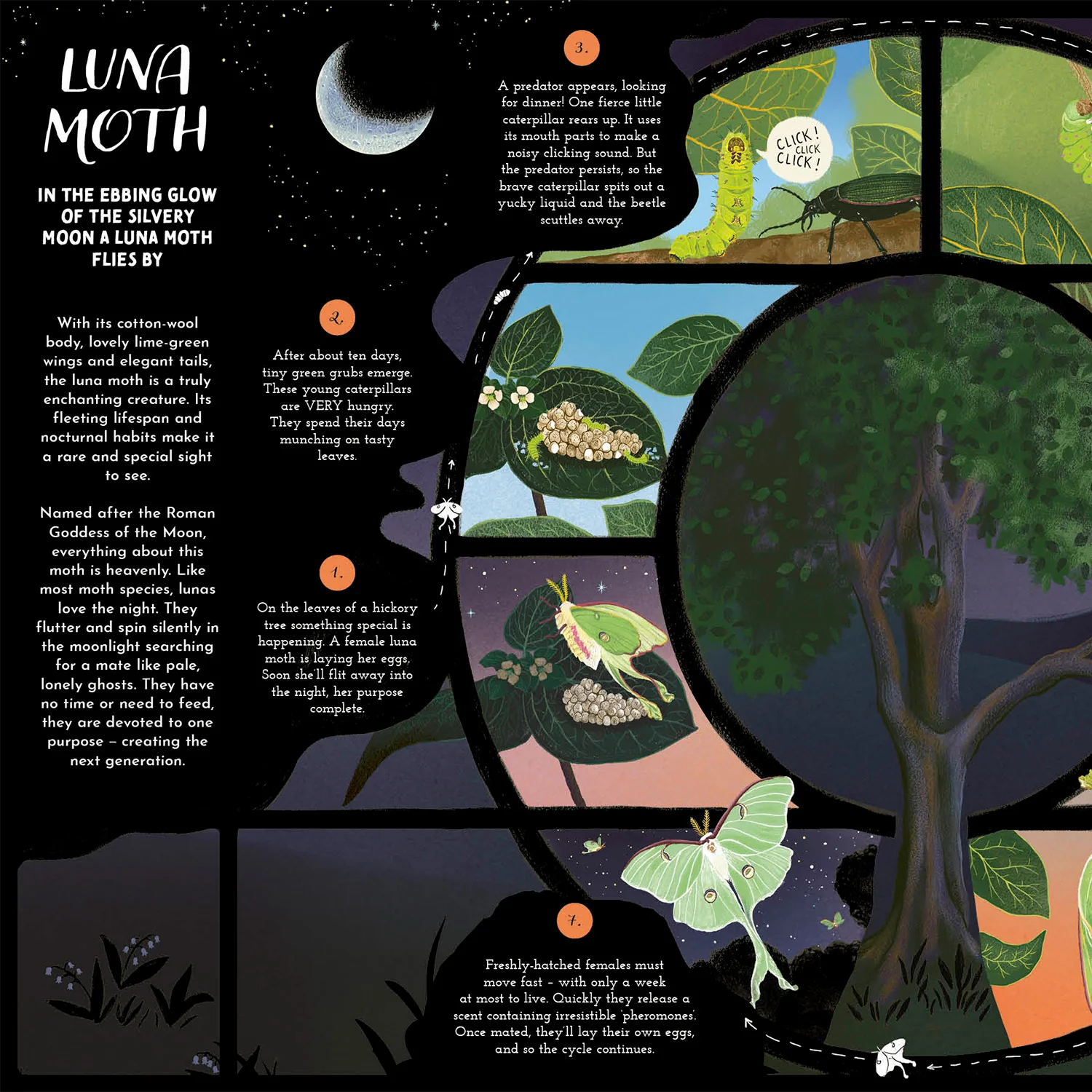 Gabby Dawnay - Round and Round Goes Mother Nature - Image 13