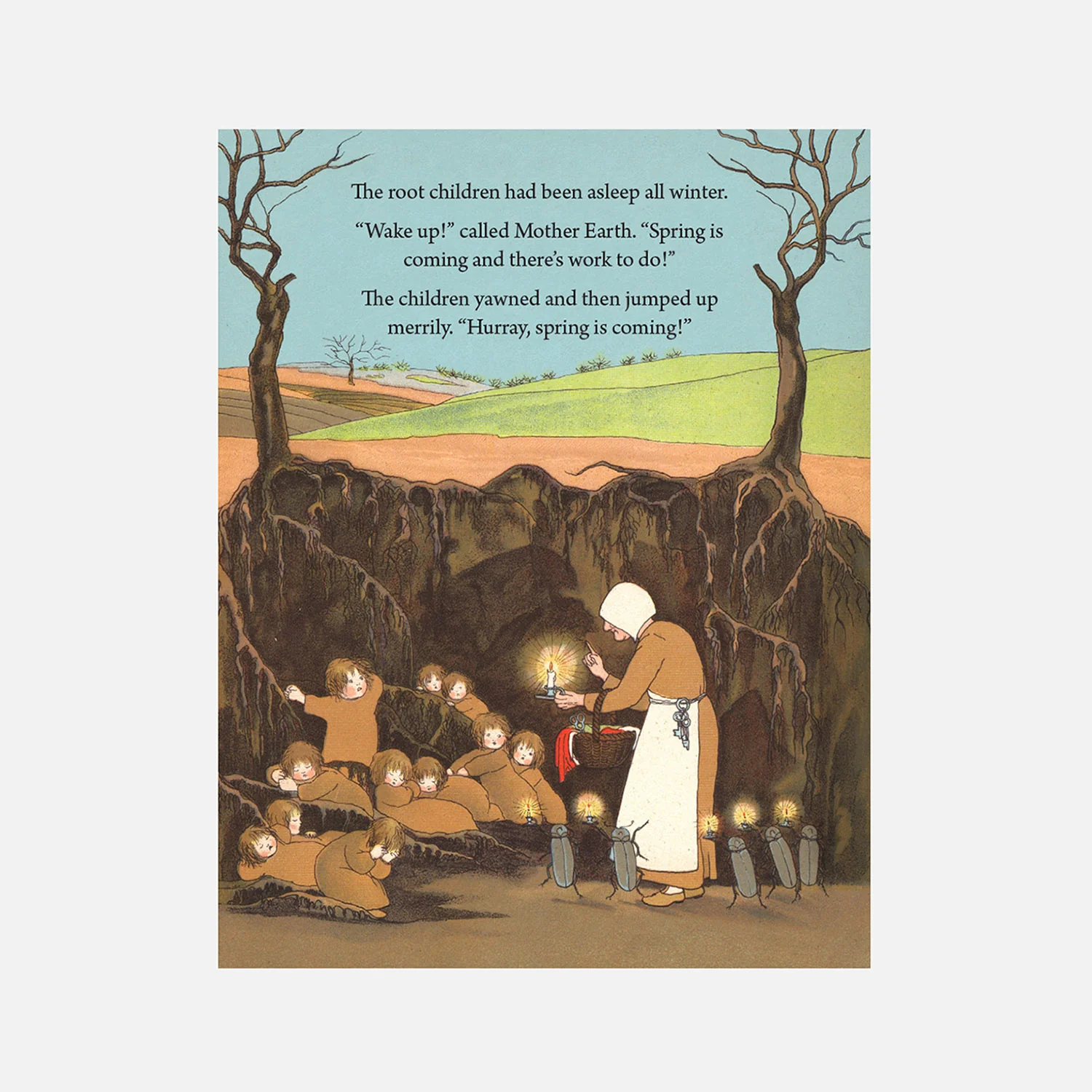 Sibylle von Olfers - My First Root Children Board Book - Image 4