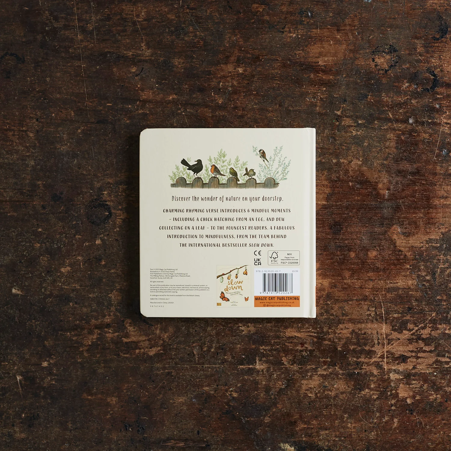 Rachel Williams & Freya Hartas - Slow Down Board Book - Image 5