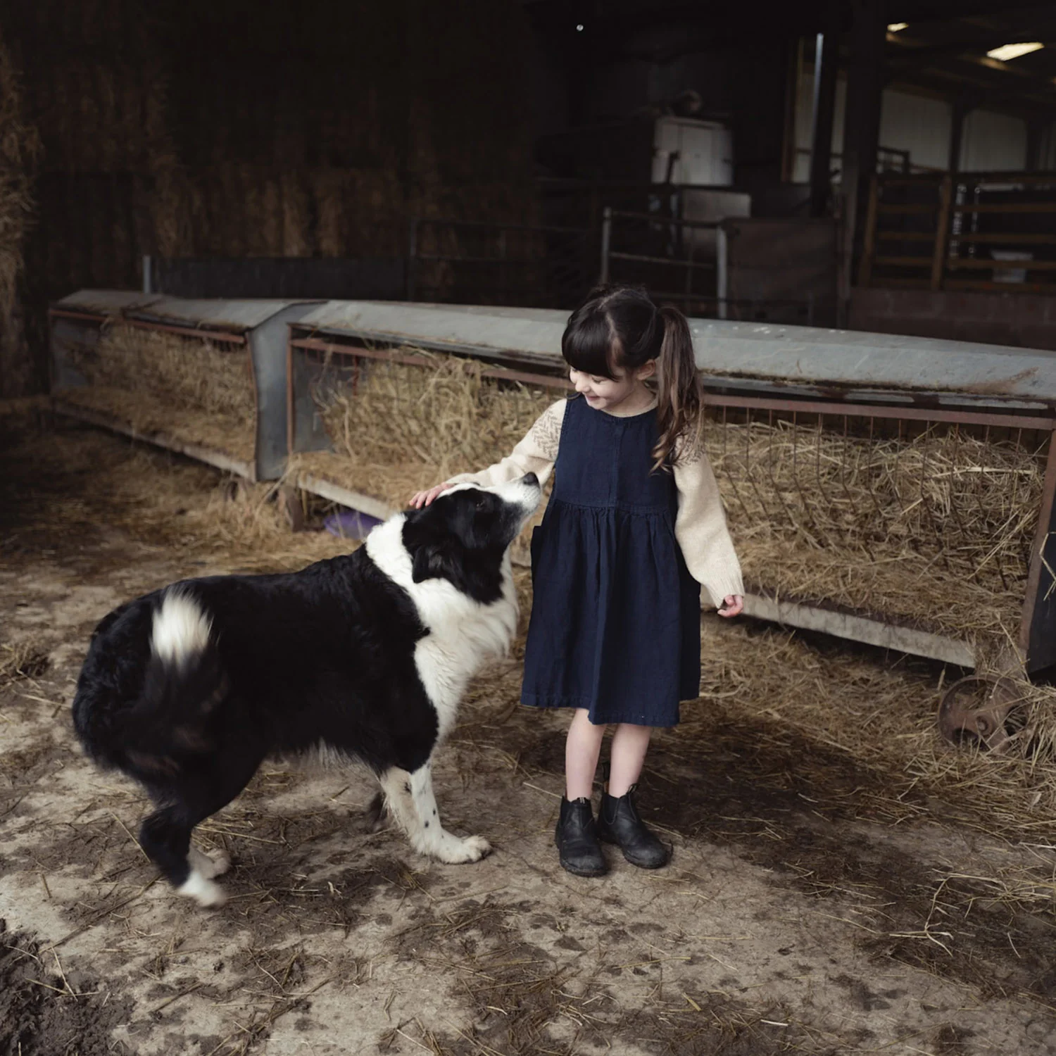 Aspen Dress - Linen - Midnight - Image 6
